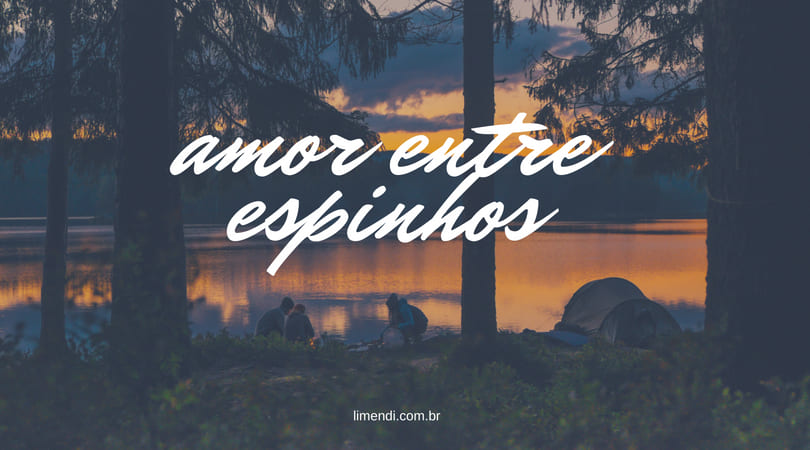 Amor entre espinhos - Li Mendi