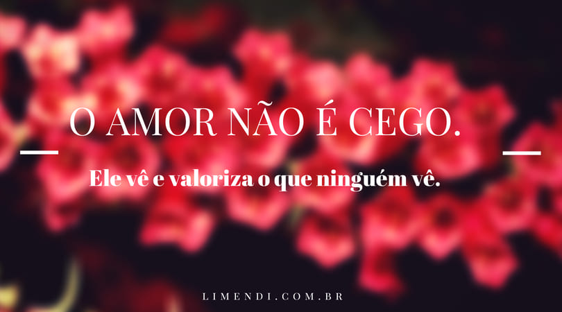 O amor não é cego - Li Mendi