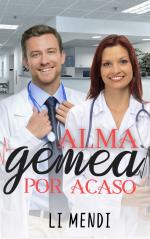 Capa E-book Romance Alma Gêmea por Acaso